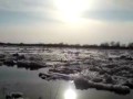 Река Ока вскрылась
