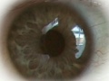 Глаз: гипноз ока
